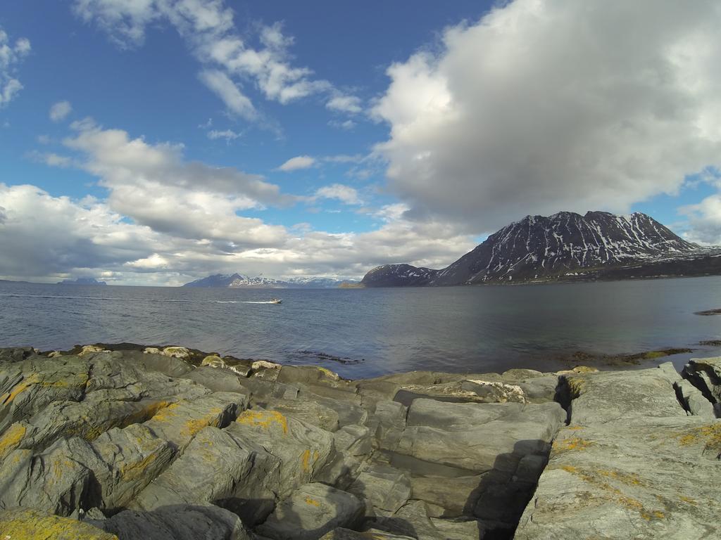 Lyngen Fjordcamp Villa Nord-Lenangen Екстериор снимка