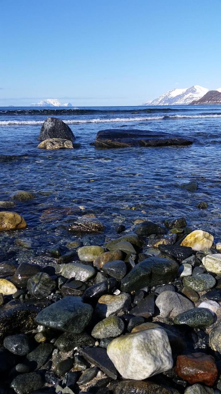 Lyngen Fjordcamp Villa Nord-Lenangen Екстериор снимка